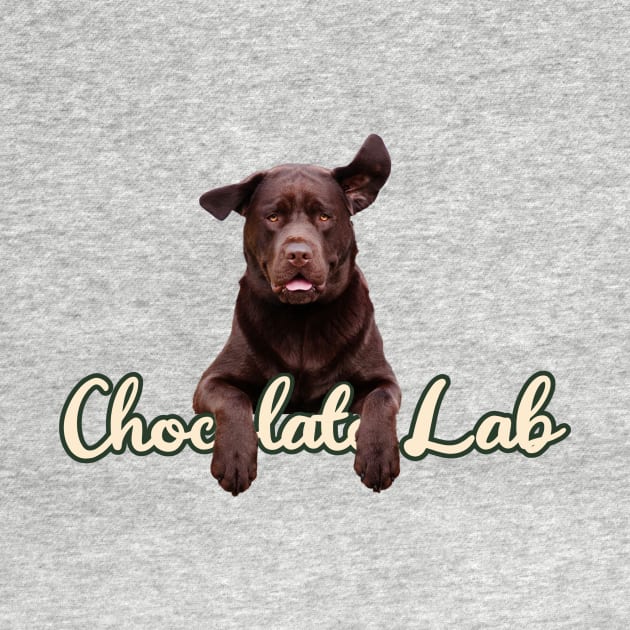 CHOCOLATE LAB by Cult Classics